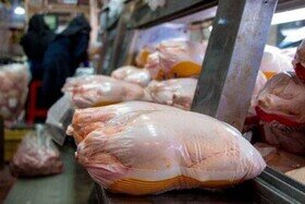 کمبود مرغ در روزهای آینده خوزستان
